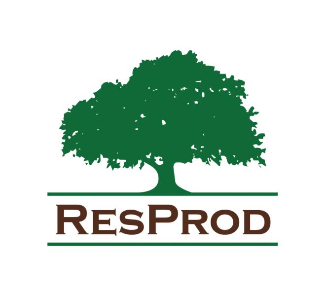 Logo ResProd