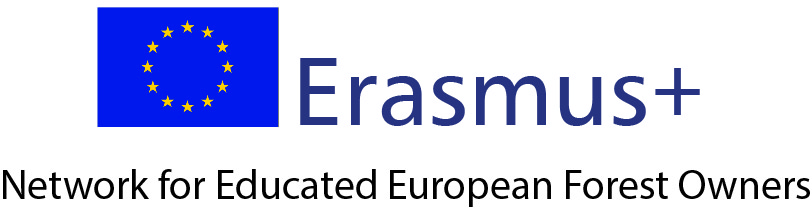 Logo EFO