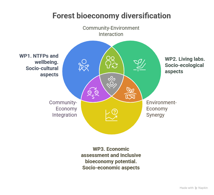 2026 lzp 0478 WP structure visual selection LV