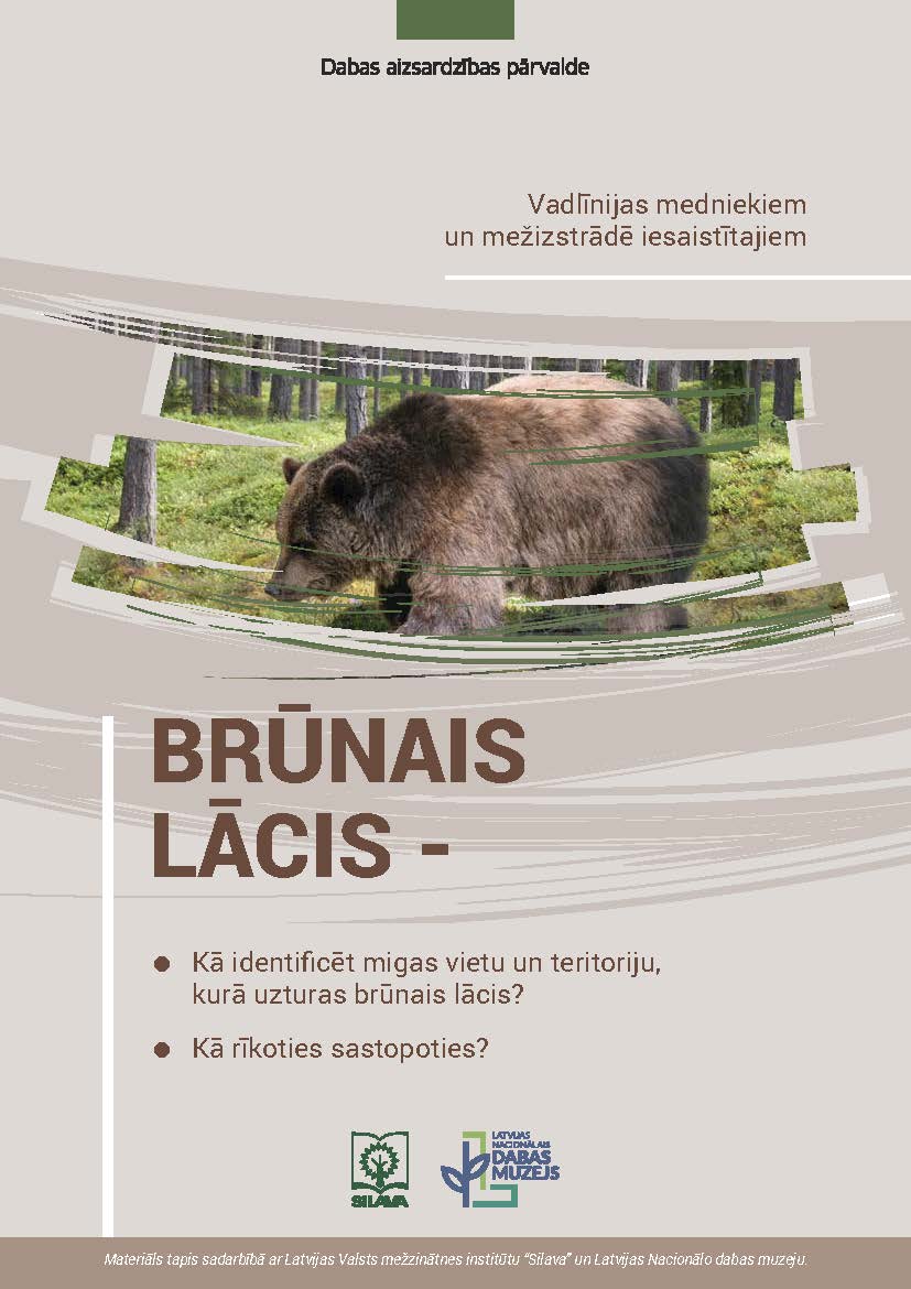 2023 05 09 Brunais lacis Vadlinijas