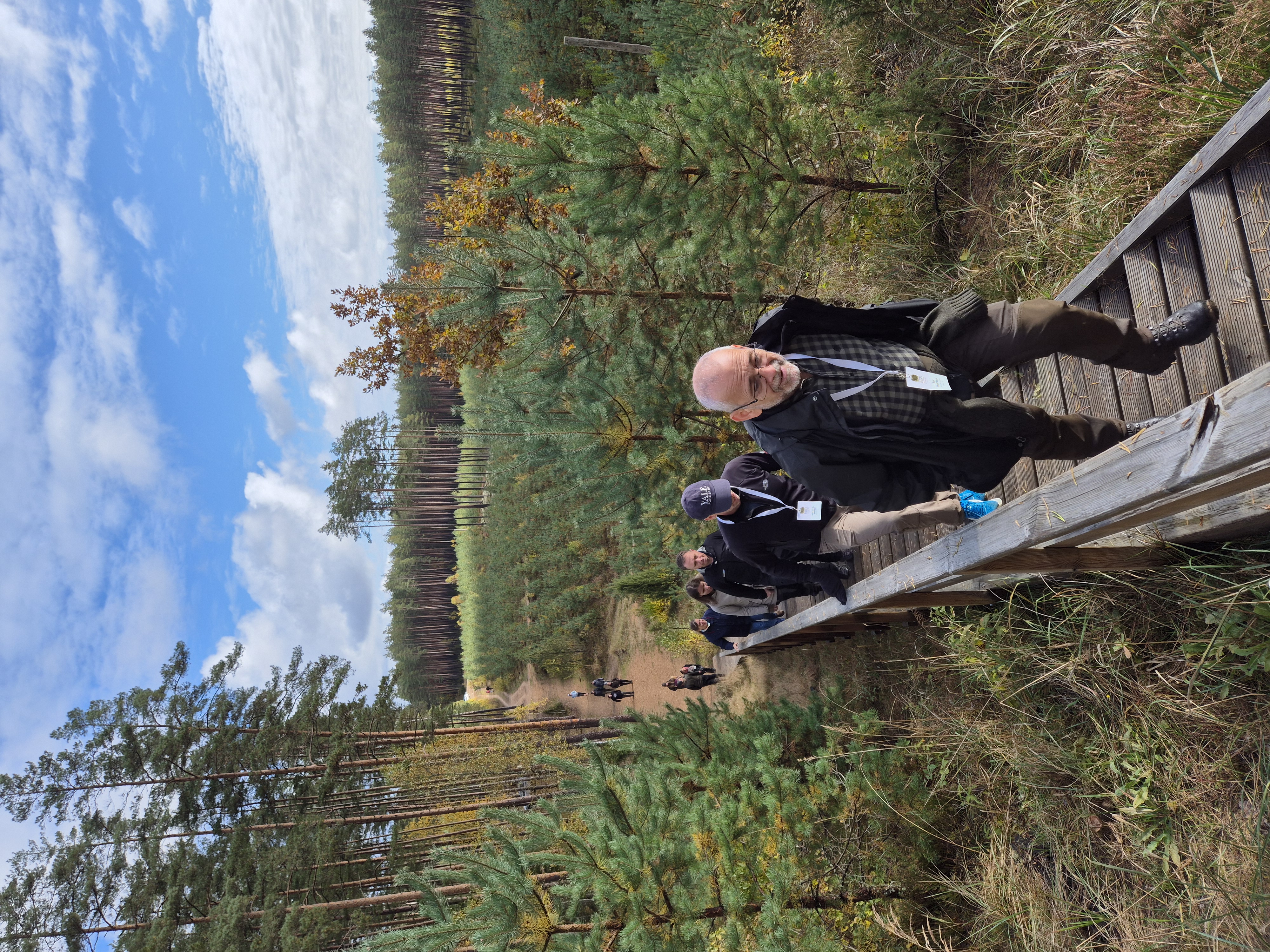 2025 10 24 OldForests2