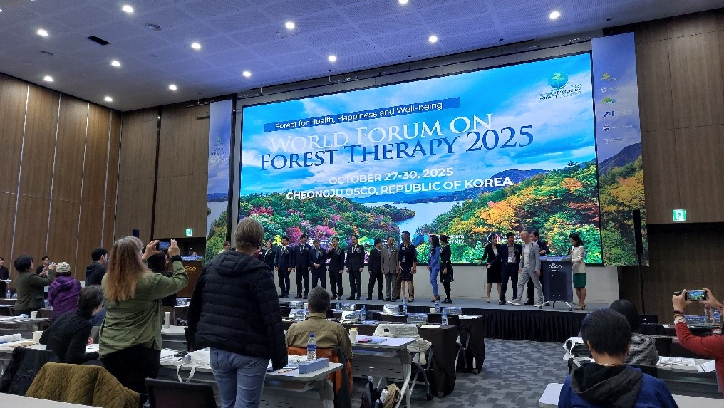 2025 11 11 Forest Therapy 1
