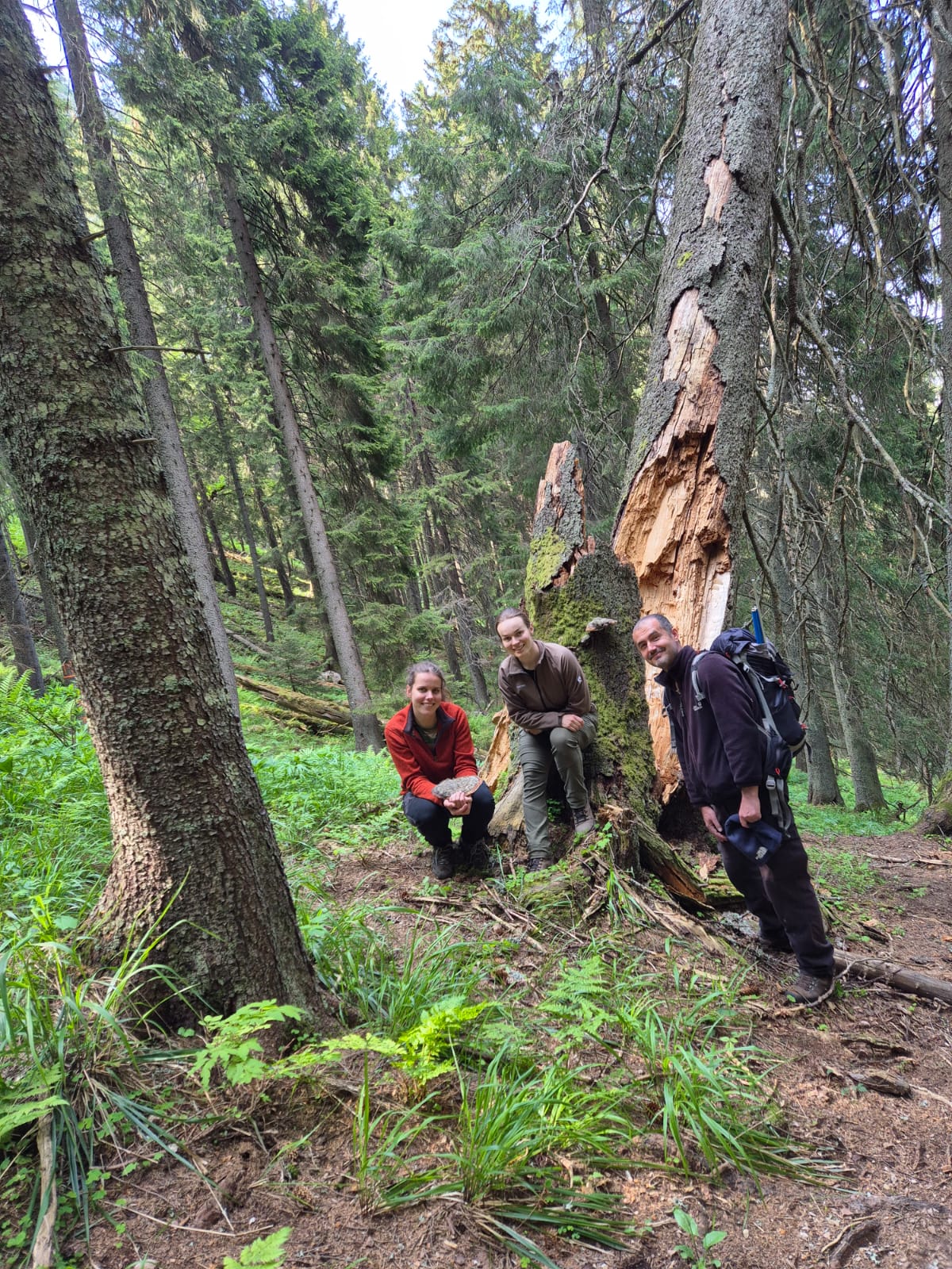 2026 01 14 Rumanija 2