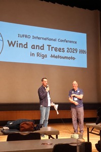 2026 10 5 Wind And Trees2