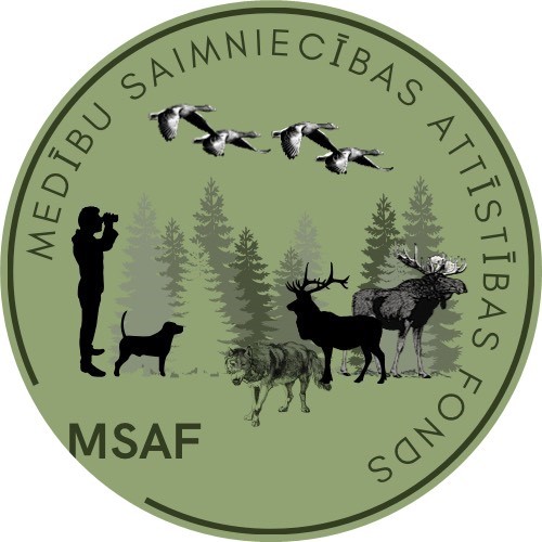 Logo MSAF